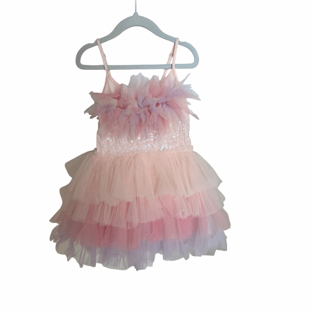 Tutu Du Monde Pink and Purple Layered Dress